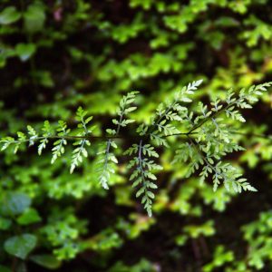 IMG_20170906_211606_845