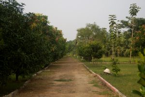 The Soumee Garden