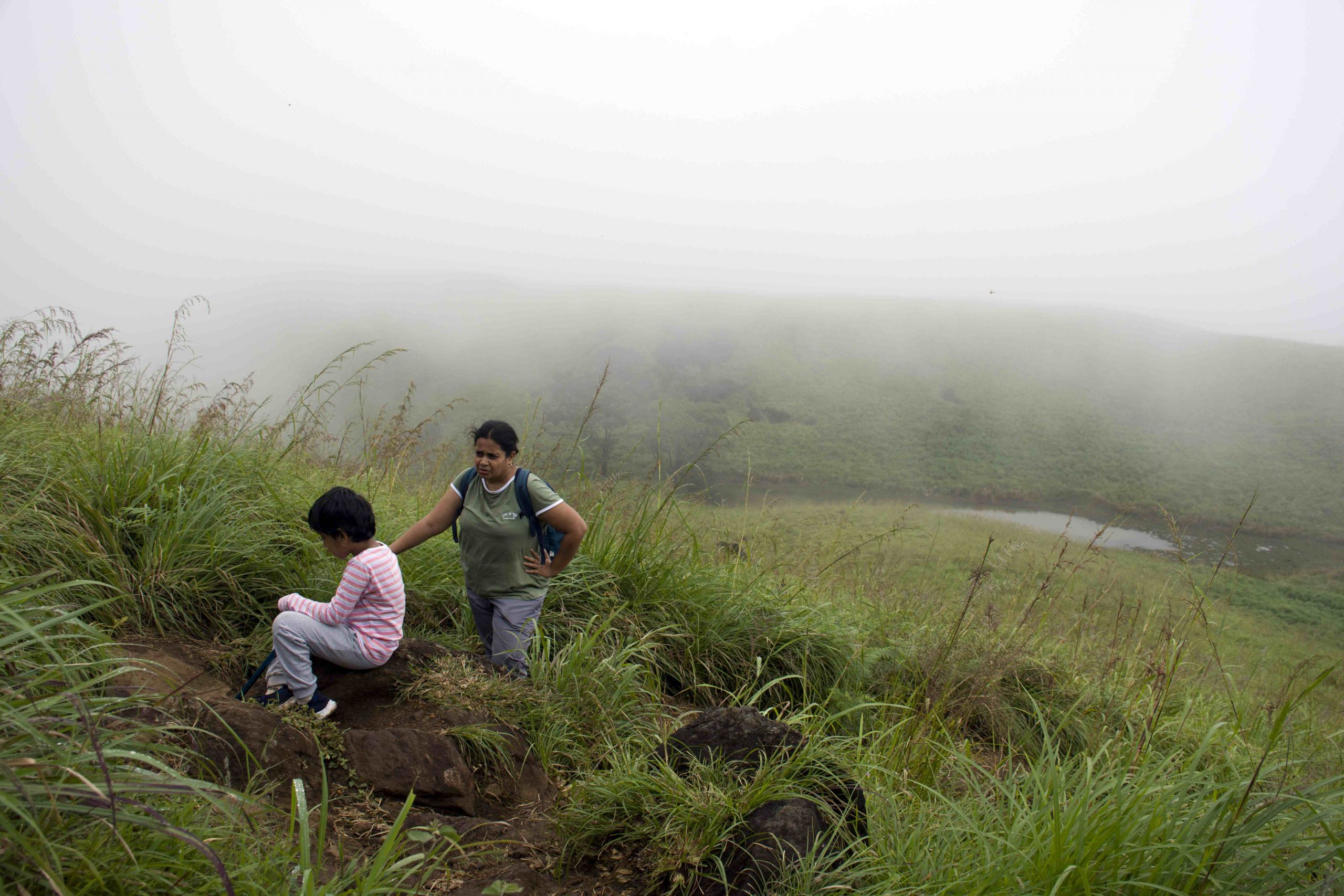 On the way to the Chembra Peak, Wayanad