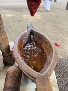 IMG_0223