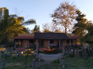 IMG_20200217_071536